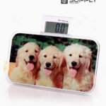 Mini Balance pèse-personne Électronique 150kg sublimation – BL19