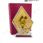 Trophées ice Hill Screen BSJ10B de sublimation