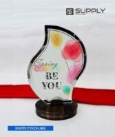 Trophée en Verre Goutte avec Socle en Bois