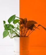 Film Teinté Orange pour Vitrages - Reflectiv 61052 | 152 cm de large – Rouleaux de 5 à 30 m – Image 7