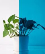 Film Teinté bleu Azur pour Vitrages - Reflectiv 61185 | 152 cm de large – Rouleaux de 5 à 30 m – Image 5