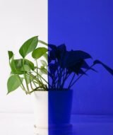 Film Teinté bleu océan pour Vitrages - Reflectiv 60685 | 152 cm de large – Rouleaux de 5 à 30 m – Image 3