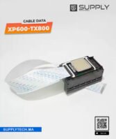 NAP (câble de liaison tête) 29 pins, pour Tête Epson XP600 / TX800 – 40cm – Image 2