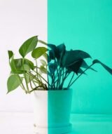 Film Teinté Bleu turquoise pour Vitrages - Reflectiv 63545 | 152 cm de large – Rouleaux de 5 à 30 m – Image 3