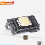 Tête d'impression XP600 - ORIGINAL Epson / UV  / éco-solvant  / DTF