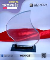 Trophée en Verre Cristal – Forme Flamme – Modèle MEH-23 – 22 x 14 cm – Image 10