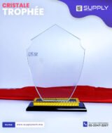 Trophée en Verre Cristal Forme Blason Stylisé – Modèle MEH-12 (22 x 15,5 cm)