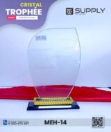 Trophée en Verre Cristal Forme Bouclier Asymétrique – Modèle MEH-14 (24x16 cm)