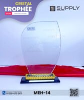 Trophée en Verre Cristal Forme Bouclier Asymétrique – Modèle MEH-14 (24x16 cm)