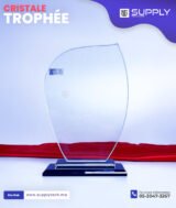 Trophée en Verre Cristal Forme Bouclier Asymétrique – Modèle MEH-2 (24x16 cm) – Socle Noir
