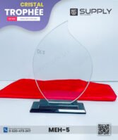 Trophée en Verre Cristal Forme Goutte – Modèle MEH-5 (24x16 cm)